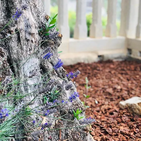 Casa Da Lomba Piscina Y Vistas Al Mar En Baiona
