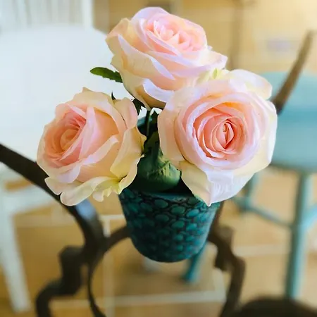 Casa Da Lomba Piscina Y Vistas Al Mar En Villa Baiona