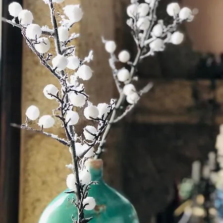 Casa Da Lomba Piscina Y Vistas Al Mar En *