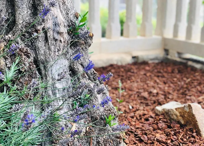 Casa Da Lomba Piscina Y Vistas Al Mar En Baiona