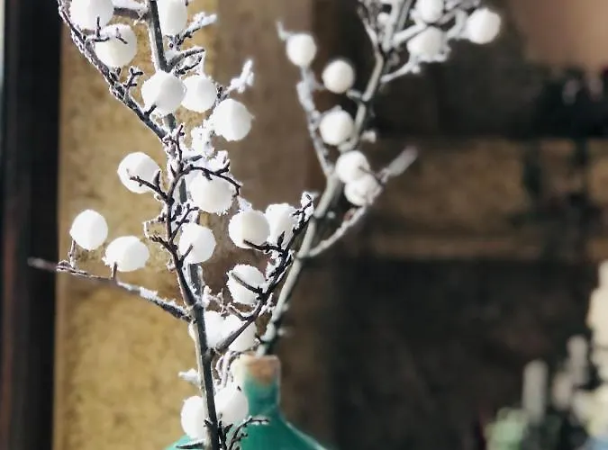 Casa Da Lomba Piscina Y Vistas Al Mar En *